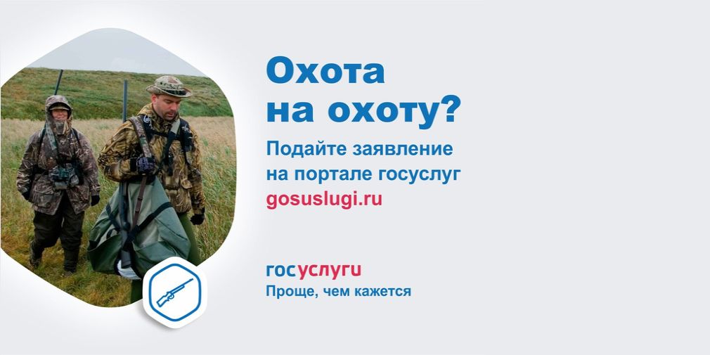 Охота подать заявку. Открытие охоты в Бабаевском районе.